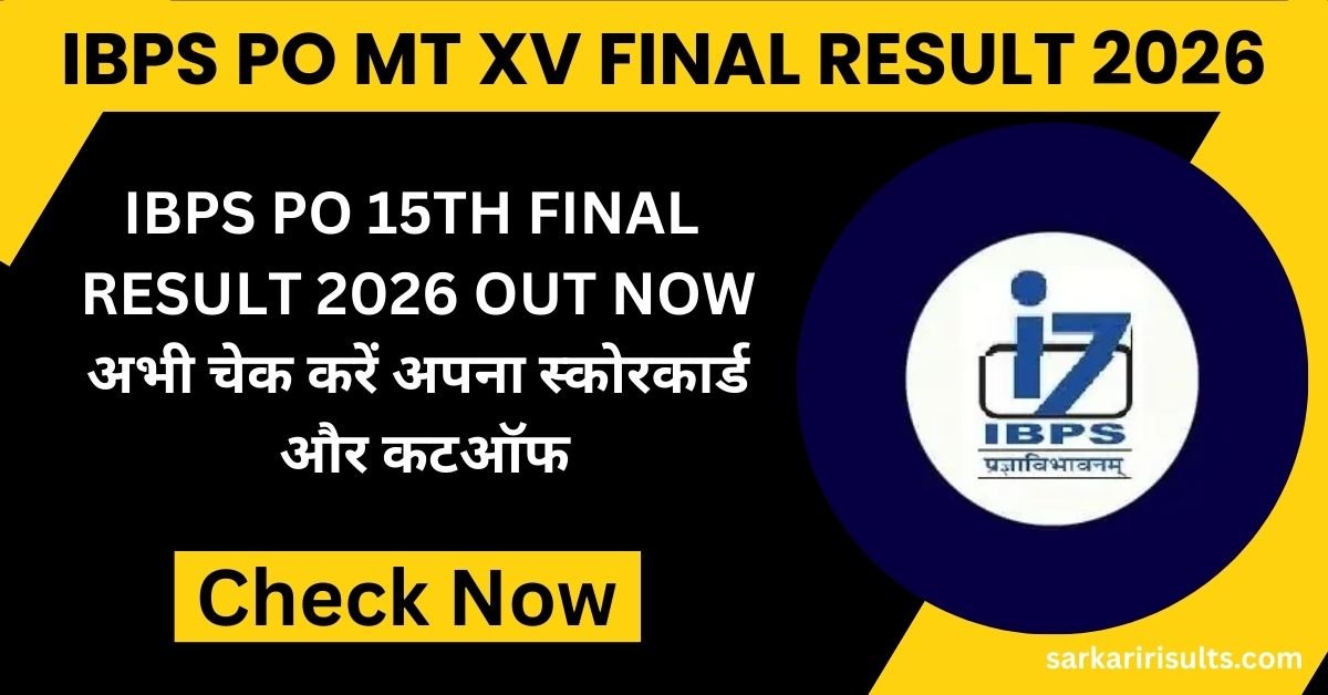 IBPS PO MT XV Final Result 2026