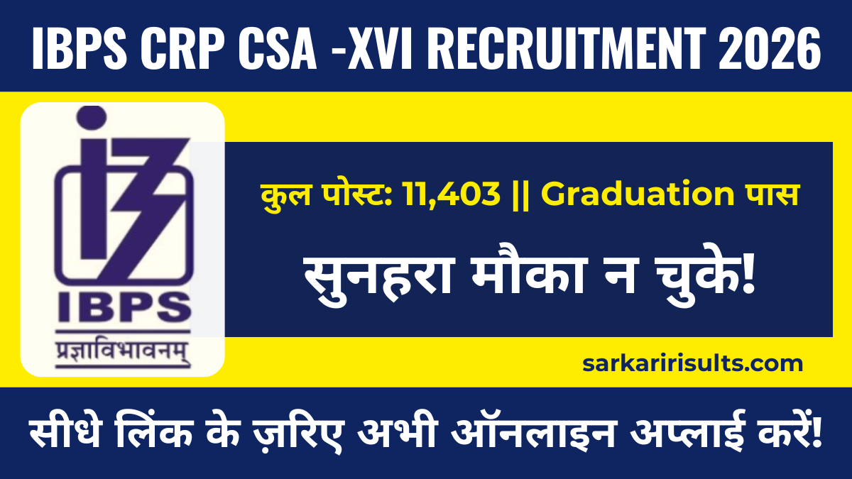 IBPS Clerk Notification 2026